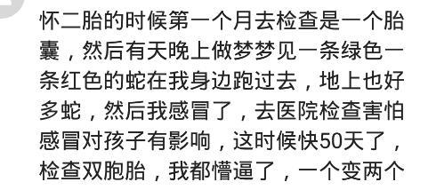 怀孕梦到已清一红两条蛇,去医院检查竟然变成双胞胎了