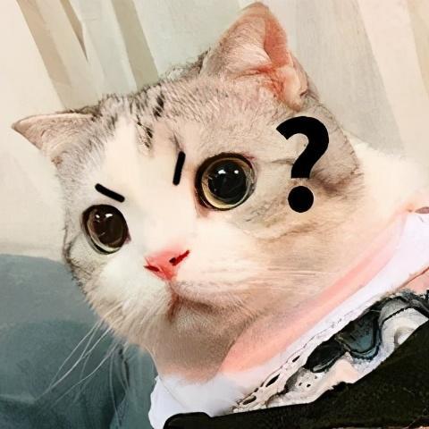 猫咪耳朵油乎乎的是怎么回事（猫咪耳朵油乎乎的原因及治疗方法）