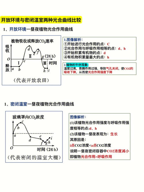 高考生物重点题型归纳 细胞呼吸和光合作用 