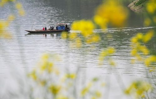 想念徽州的春天 一生痴绝处 无梦到徽州...