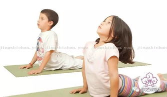 幼儿瑜伽(小孩练瑜伽的好处和坏处有哪些)