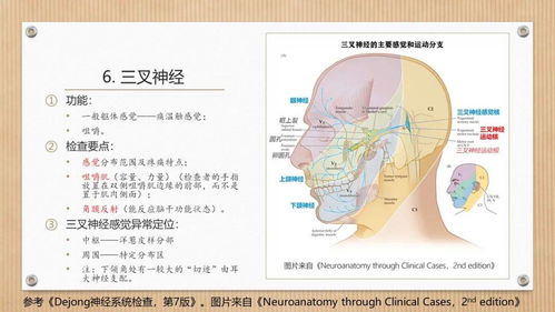 体检神经、精神系统怎么查