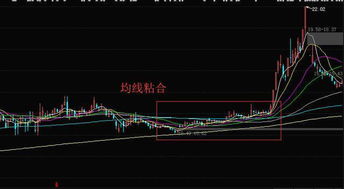 谁能告诉我春节前买入什么股票好啊？