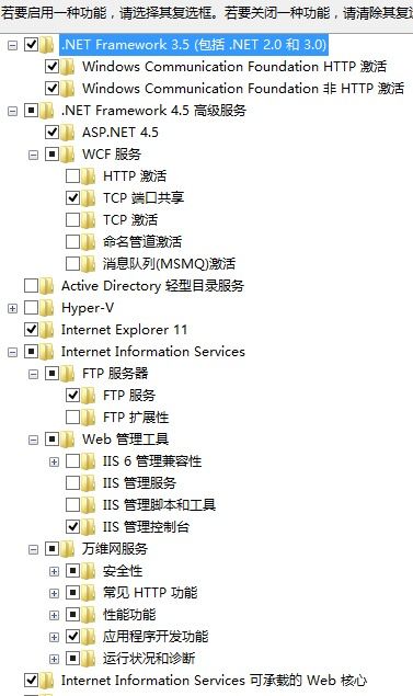 win10怎么设置iisasp.net