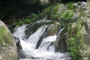 走近山沟沟