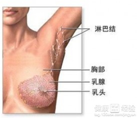 怎样确诊乳腺纤维瘤