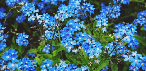 5月下旬,横财天降必定发财赚钱 双喜临门的4大生肖