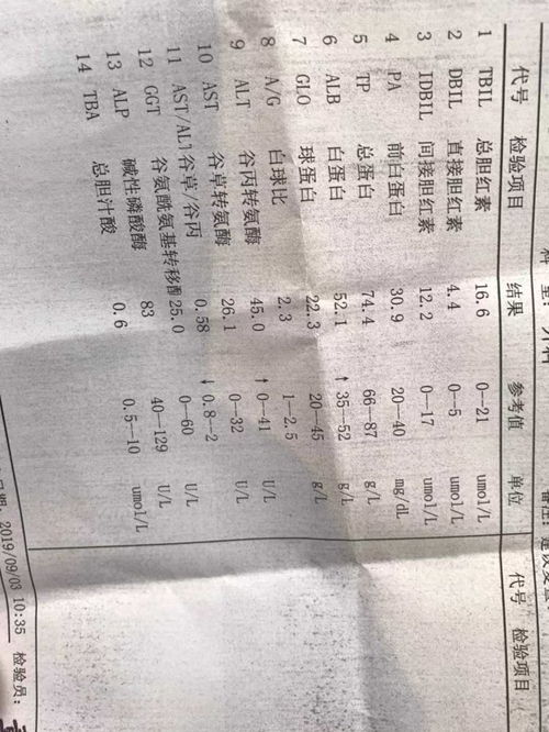 体检报告是什么意思 