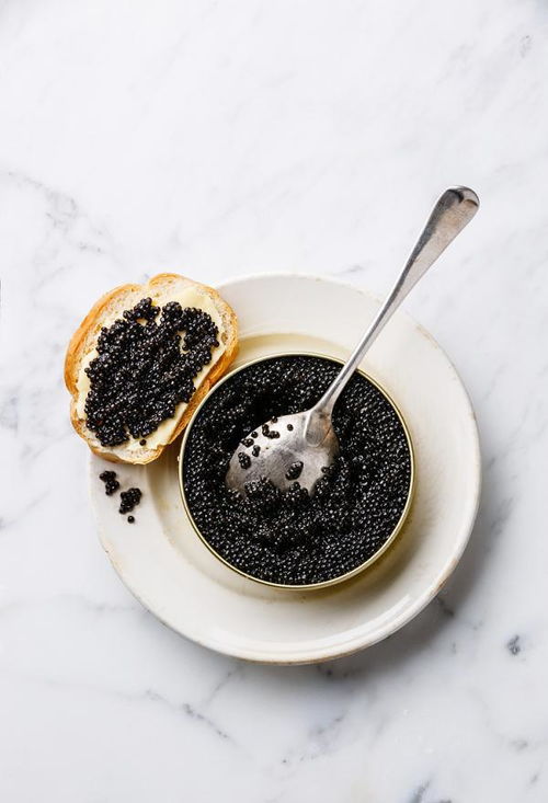 有关鱼子酱 Caviar 的6个冷知识