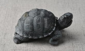 上海虹济艺术讲述翡翠玉石乌龟雕刻的寓意