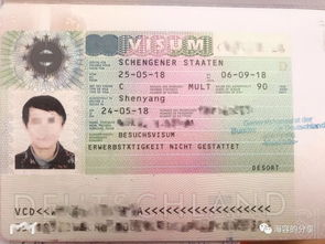 德国签证页内容详解(德国签证类型D是什么签证)