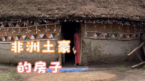 非洲土豪居住的房子,看看房子里的环境,你愿意住一晚么 