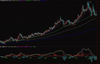 指标macd什么样的形成金叉才可以大胆买入图解