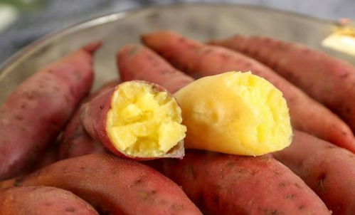 红薯代替主食 红薯真的能降血糖吗 早看早受益