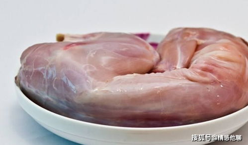 怀孕能吃兔肉吗,对宝宝有影响吗