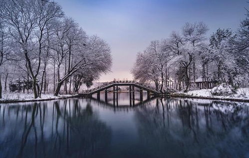 江南的雪已经在朋友圈走红了,这些城市雪后的模样,你还认识吗