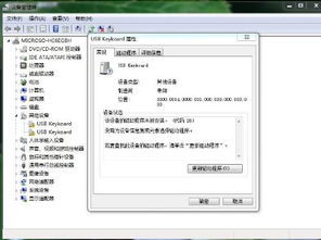 请问一下高手 我的usb外接键盘以前能用可是现在却不能用了 电脑显示的是该设备没有正确安装是这么回事啊 我的是hp win7系统 