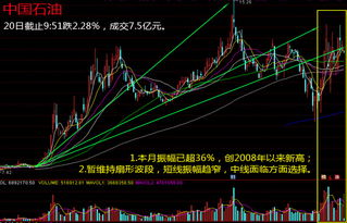 到目前为止中国石油这支股票跌到了多少？有教大幅度反弹的机会吗？