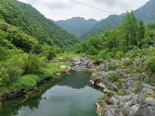 南阳大山深处的民宿,泳池映着蓝天,伴着青山薄雾入眠