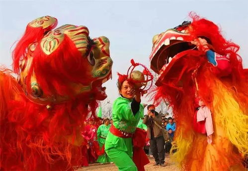 中国情怀 第十七期 舞狮舞龙