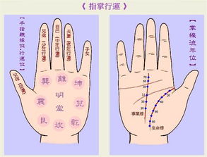 生命线末端分叉图解 米粒分享网 Mi6fx Com