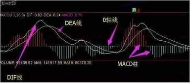 一位良心操盘手揭秘股市背后真相 MACD不为人知的操盘秘密 