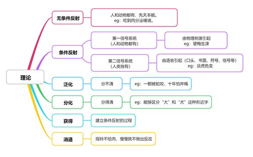 巴甫洛夫经典性条件作用理论