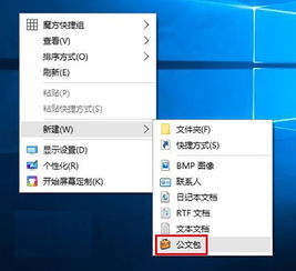 win10安装公文包