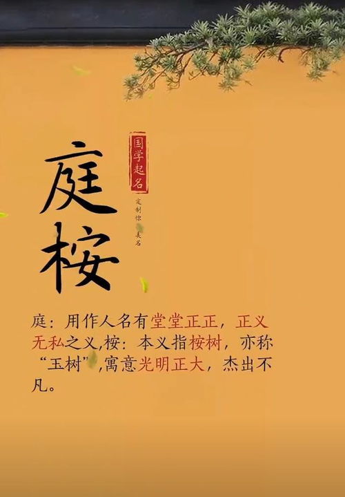 宝宝起名字 大气简洁,尊贵不凡,不同流俗有内涵的男孩名字