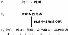 如果A捕食B 那么高中生物说AB是捕食关系 那么为什么没有竞争关系呢？ AB不也在竞争除食物外的资