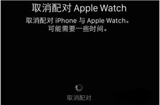 apple watch怎么配对新手机 