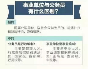 我想问事业单位购买印花税计入哪个科目？谢谢大家