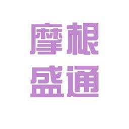 沈阳摩根正通投资公司怎么样？