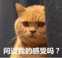 扒一扒那些用在猫咪身上的残忍手术