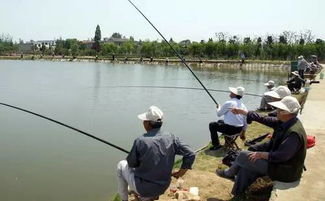 夏季鱼塘鱼难钓,方法技巧很关键 