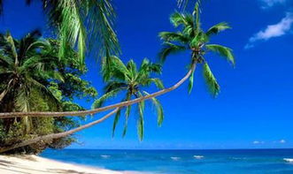 汤加马尔代夫旅游景点探索海滩森林与历史文化