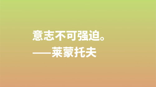 逞强名言,我的自由年代林嘉恩志励名言？