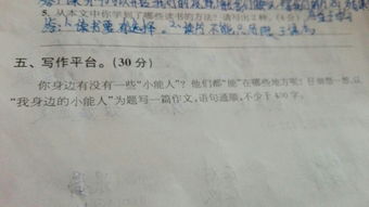 作文我身边的小能人400字