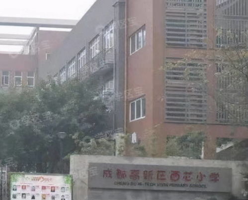 職高成都科大是什么大學(xué)