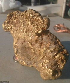 小镇矿工捡到一块天然金块 价值7万美元 