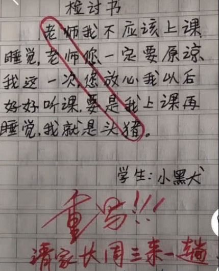 小学生奇葩检讨书走红,内涵 藏头诗 ,老师看后气得肚子疼