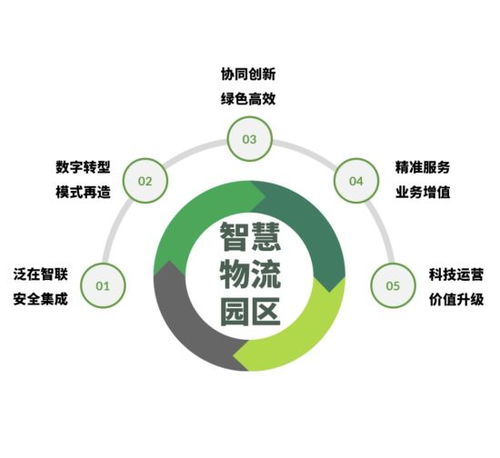 智慧是什么意思