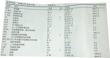 乙肝检验单怎么看 