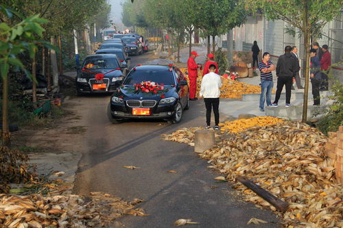 为什么专家建议农村人不要买车,说出原因后,村民 怎么不早说