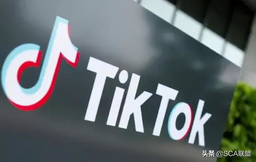 独立站卖家如何在TikTok开启跨境社交电商_TikTok广告如何开户