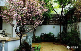 农村别墅小院 花做篱笆,诗意为墙,静守流年,闻一院子芬芳 