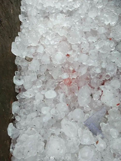 惊蛰日广东雷暴大风 冰雹袭来,这些地区已经下冰雹啦 