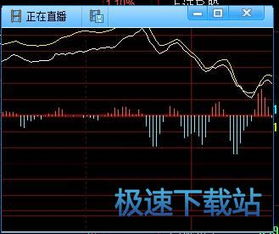 歪歪如何安装股票视频应用