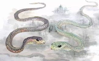 蛇最怕什么,蛇最怕什么？真的不是雄黄粉，研究人员说明了原因
