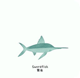 swordfish(使命召唤手游Swordfish最强配件推荐)